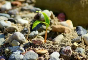Resilienz Seminar Führungskräfte